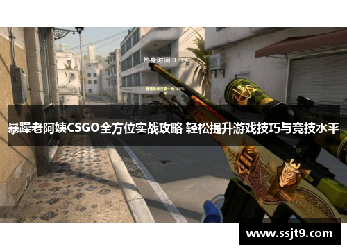 暴躁老阿姨CSGO全方位实战攻略 轻松提升游戏技巧与竞技水平