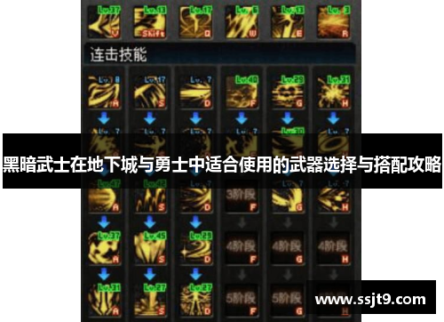 黑暗武士在地下城与勇士中适合使用的武器选择与搭配攻略