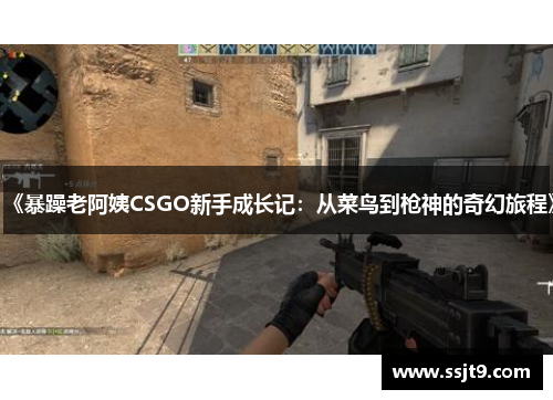 《暴躁老阿姨CSGO新手成长记：从菜鸟到枪神的奇幻旅程》