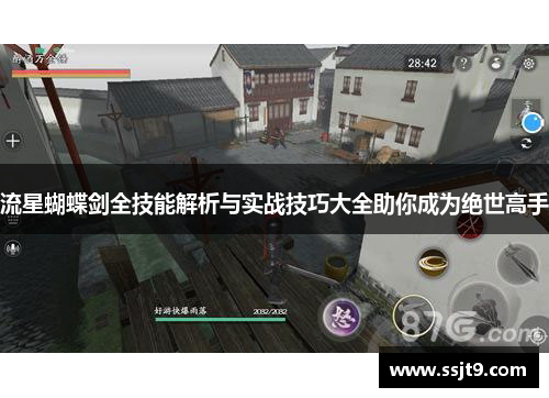 流星蝴蝶剑全技能解析与实战技巧大全助你成为绝世高手