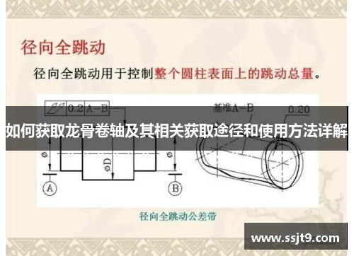 如何获取龙骨卷轴及其相关获取途径和使用方法详解